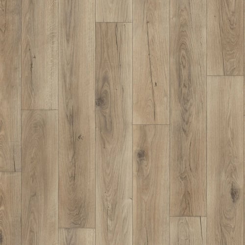 Alaska in Mink 24"x48"