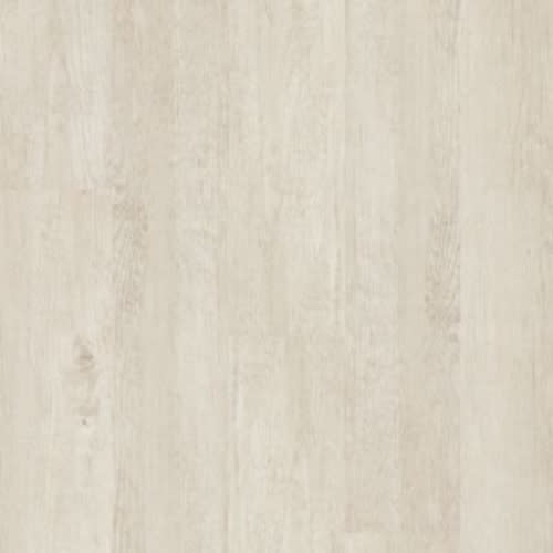 Master Scale In Flat White