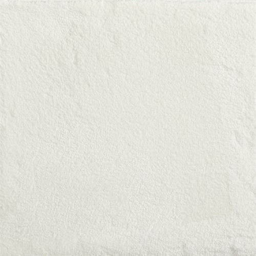 Atelier Marquee - Cha Cha in Snow Carpet