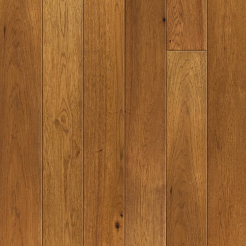 Fairbanks Maple In Pilsner