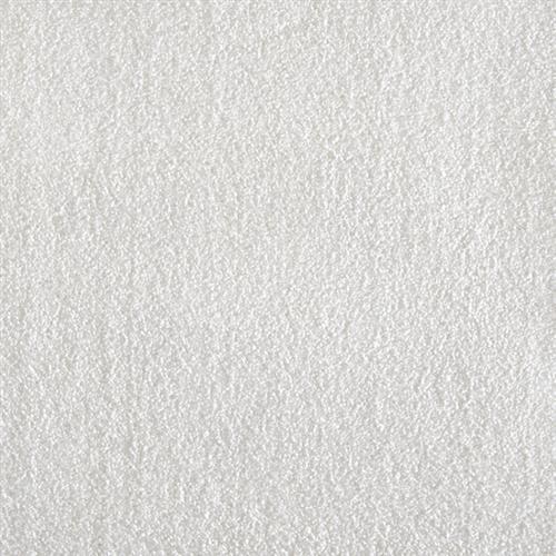 Atelier Marquee - Venue in Snow Carpet