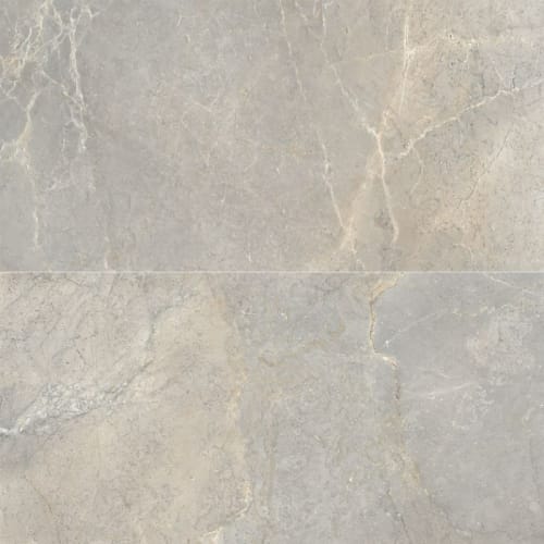Anthea in Earth 24x48 Tile