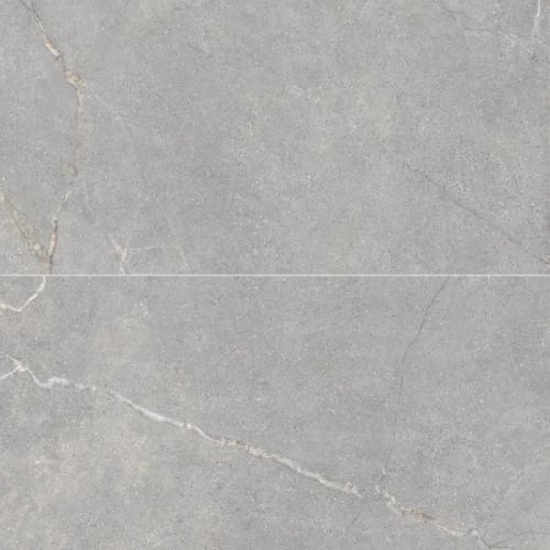 Anthea in Gray 24x48 Tile