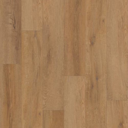 TREASURE COVE in Grande Baltra O Luxury Vinyl