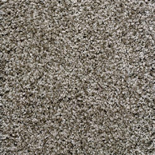 Avantgarde - Shaggy Luxe