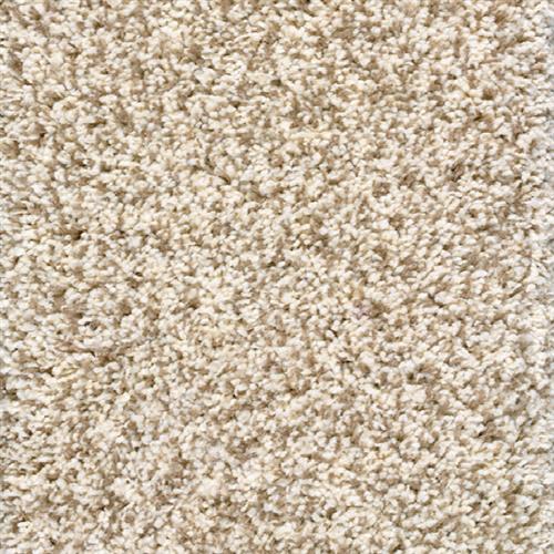 Avantgarde - Shaggy Luxe