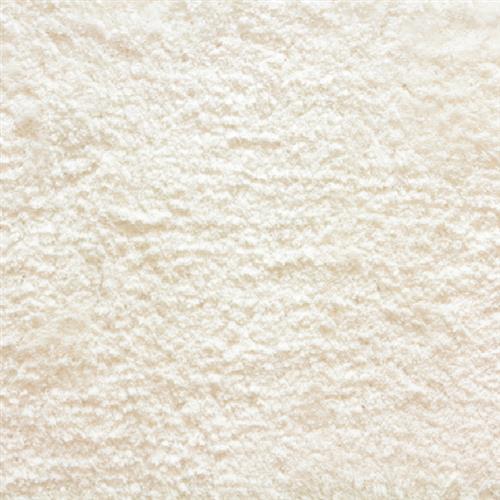 Avantgarde - Shaggy Posh