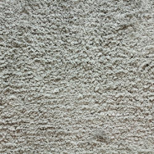 Avantgarde - Shaggy Posh