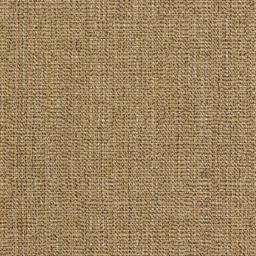 Adrift in Sesame Carpet