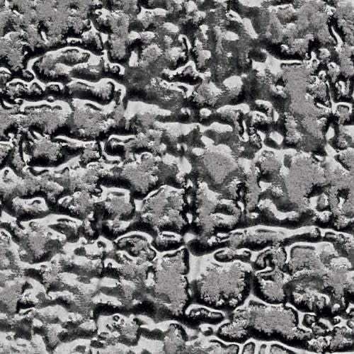 Ainslee Park In Steel