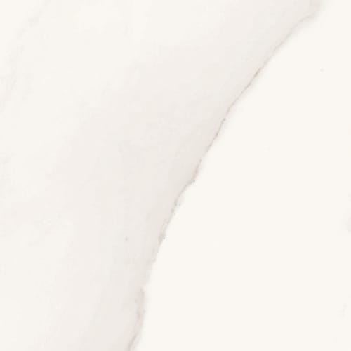 Ainslee Park In Calacatta Gold 12" X 24"