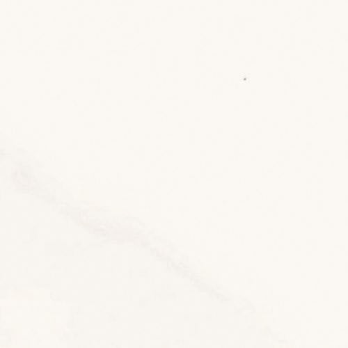 Ainslee Park In Calacatta Gold 3.75" X 12"