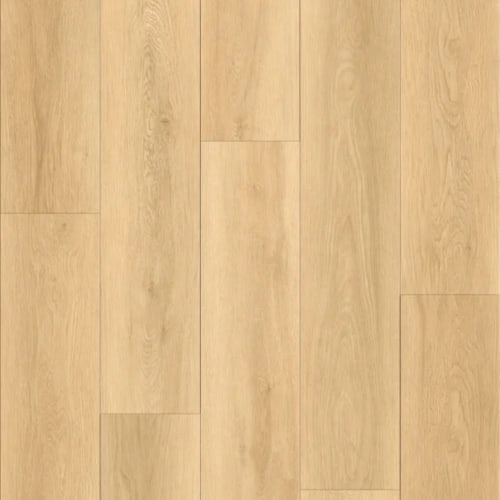 Natural Beauty Basics - Alpine In Desert