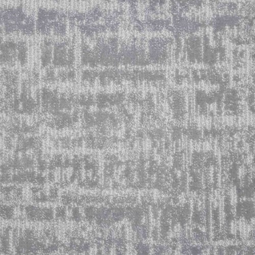 Ambition in Platinum Carpet