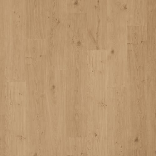 Transom In Artifact Brown Oak