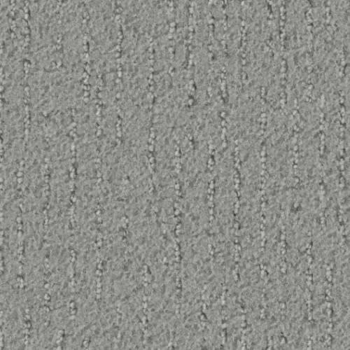 Astoria in Nickel Carpet