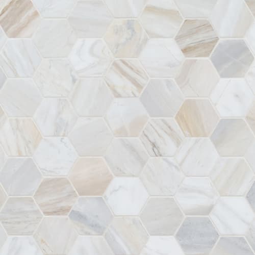 Athena Gold in Athena Gold 2" Hexagon Honed Natural Stone
