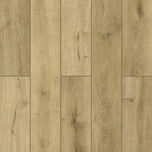 Bambino Collection In Lumber Yard