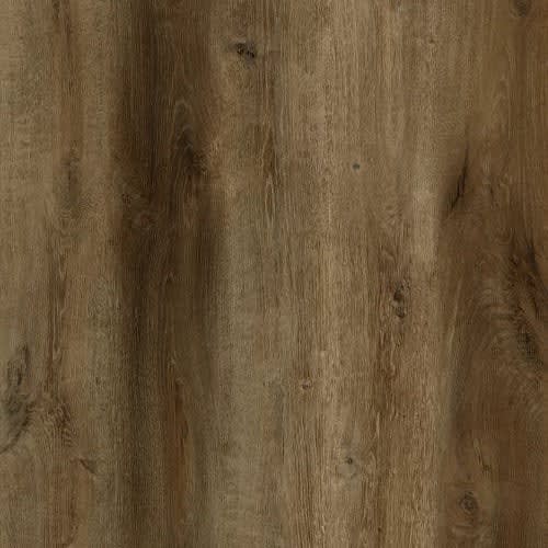 Bambino Collection In Ganache
