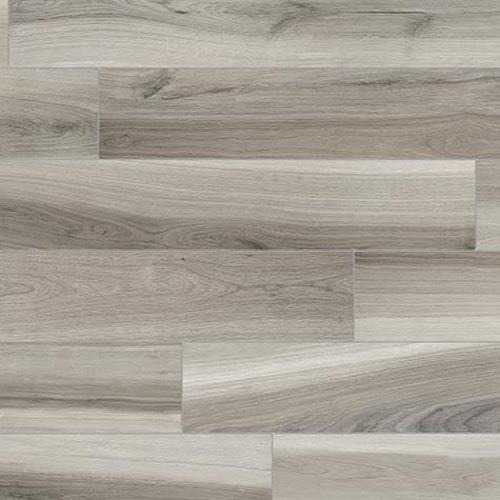 Classics - Belize Plank in Exotic Ash - 6x24 Tile