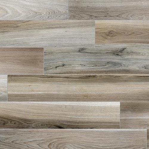 Classics - Belize Plank in Exotic Blend - 6x24 Tile