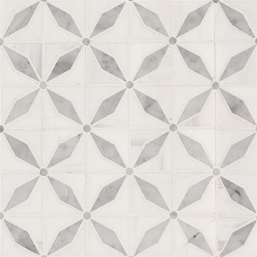 Bianco Dolomite In Bianco Dolomite - Starlite