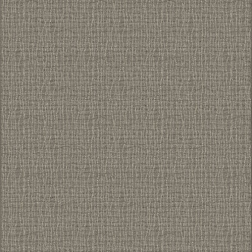 Backdrop - Graphite 3’10”X5’4”