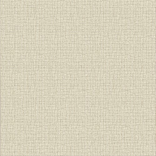 Backdrop - Natural 7’8”X10’9”