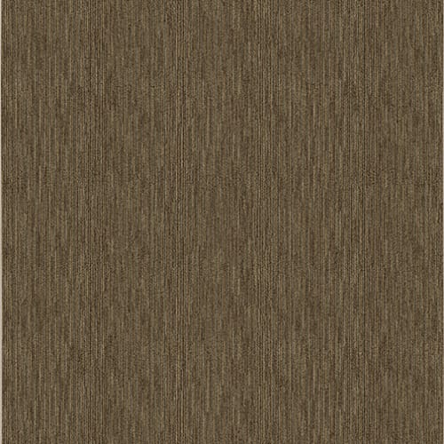 Basis - Burlap 3’10”X5’4”