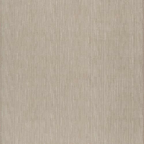 Basis - Canvas 10’9”X13’2”
