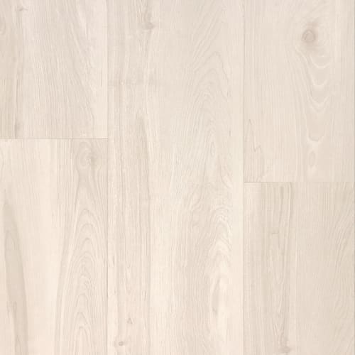 Nuvomax 8 - Beach House In Oyster