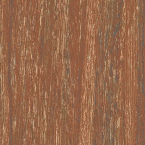 ALL AMERICAN in Patriot