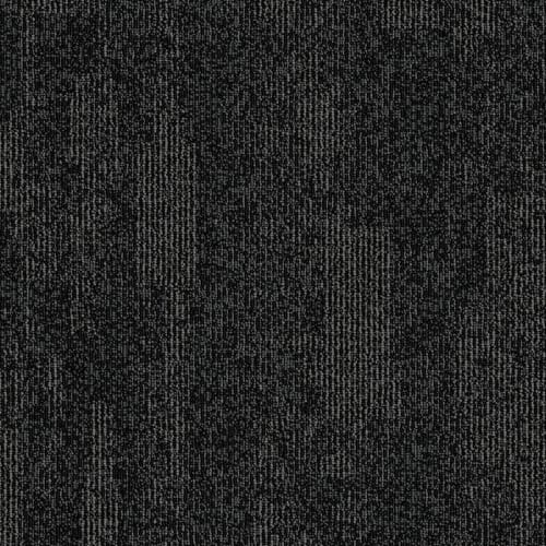 Dynamo