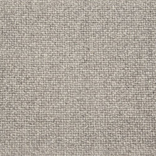 Brewer in Silver Carpet