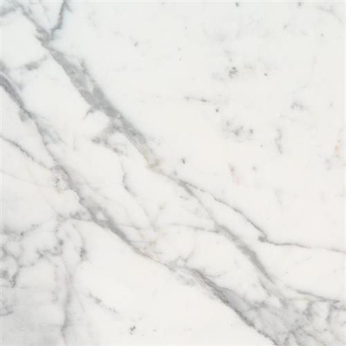 Calacatta Marble In Calacatta Marble - 12X12