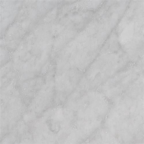 Carrara White In Carrara White - 18X18