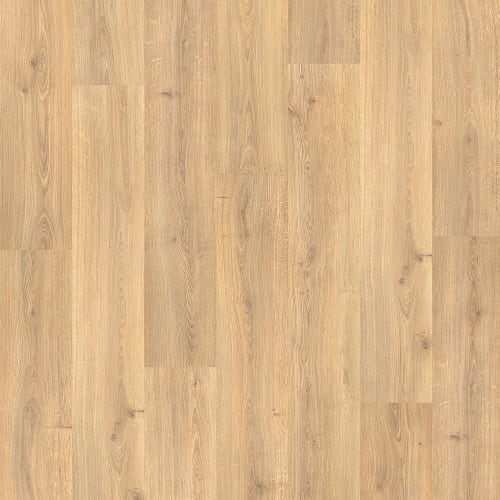 Palm City In Lighthouse Oak