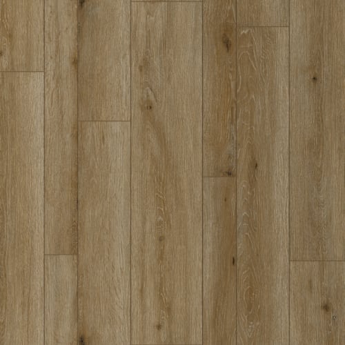 Equinox Multi in Charlot Laminate