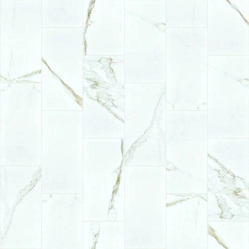 Casino 12X24 Polish In Calacatta 11" X 23"