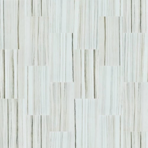 Casino 12X24 Polish In Zebrino 11" X 23"