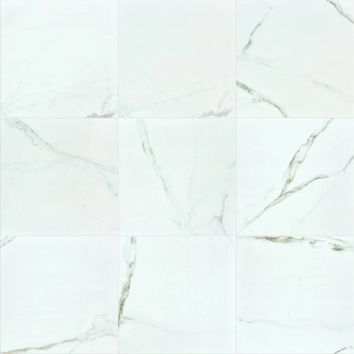 Casino 24X24 Polished In Calacatta