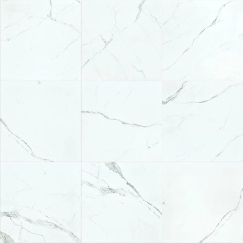 Casino 24X24 Polished In Statuario