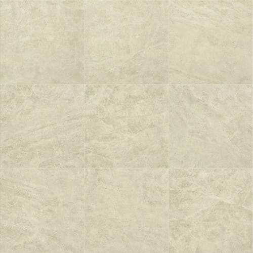 Casino 24X24 Polished In Allure
