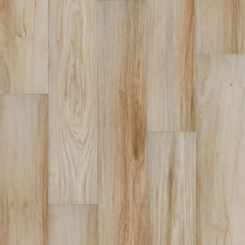 Corsage In Dahlia