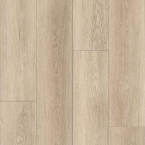 Specmaster 5.0 Mm In Moraga