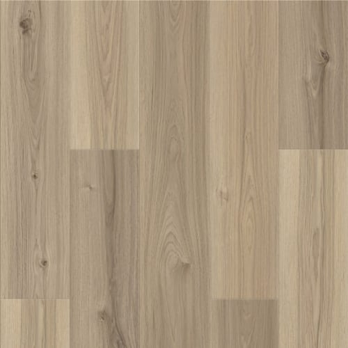 Specmaster 5.0 Mm In Grove