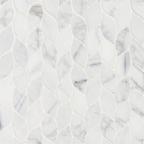 Calacatta Cressa in Calacatta Blanco Pattern Polished Natural Stone