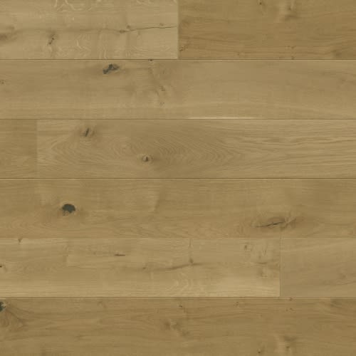 Verano Collection In Campo