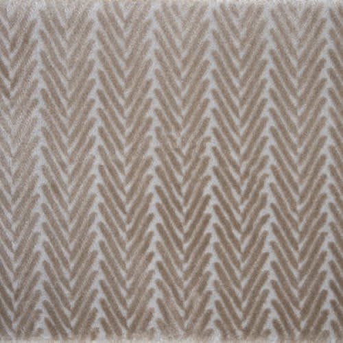 Candid in Parchment Carpet