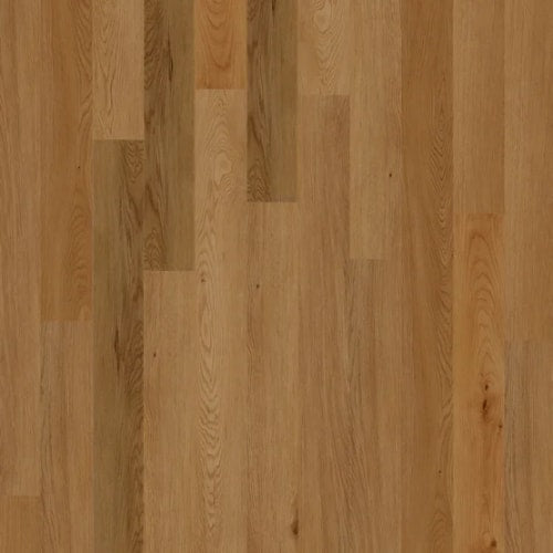 4 Series - Century In Nutmeg